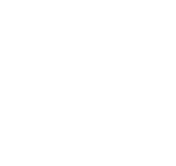 Tan_Dom_Logo_White-01 1